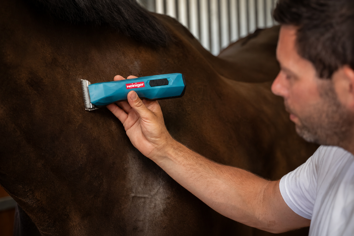 Should You Clip Your Horse? A Practical Guide to Horse Clipping