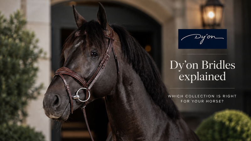 Bay horse wearing a brown Dy’on bridle, illustrating the different Dy’on bridle collections.