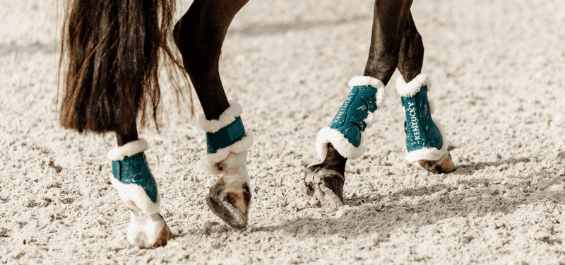 When and why should you use leg protection?