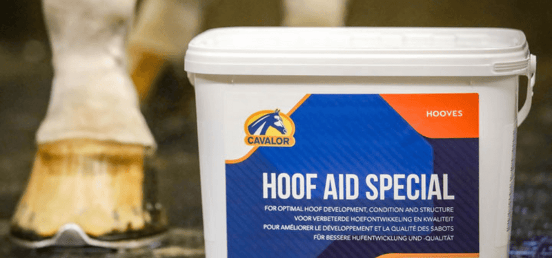 Top 5 Cavalor products every rider should know