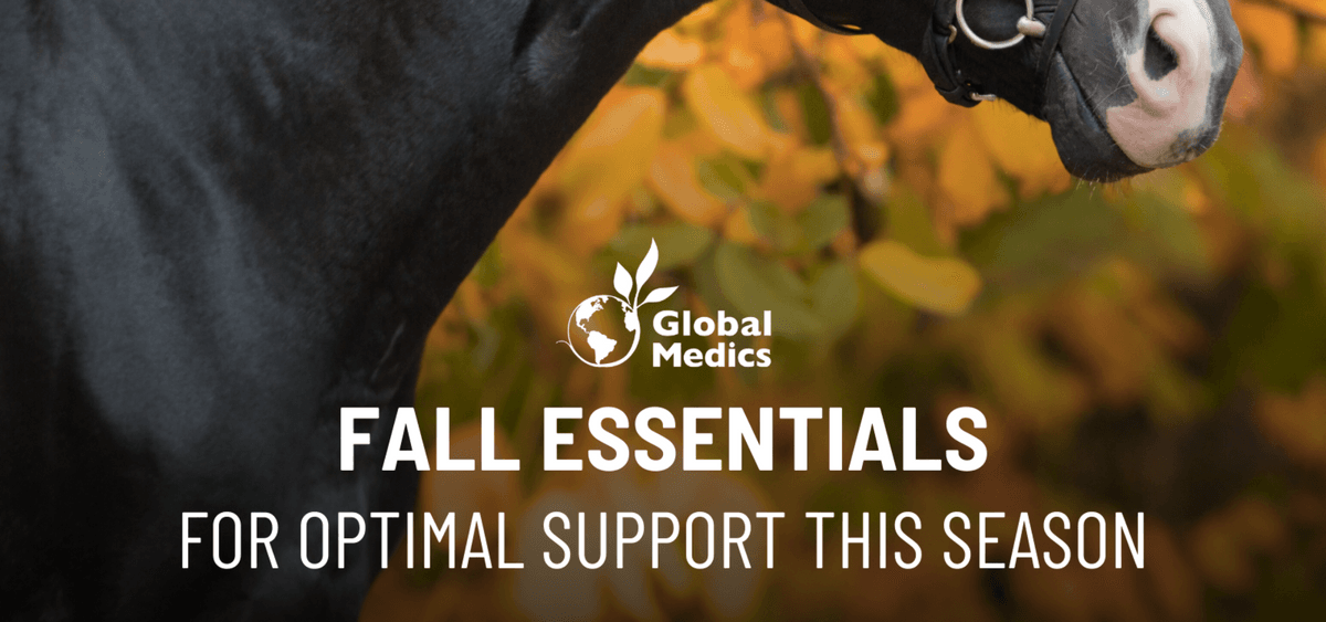 The Top 3 Autumn Essentials from Global Medics