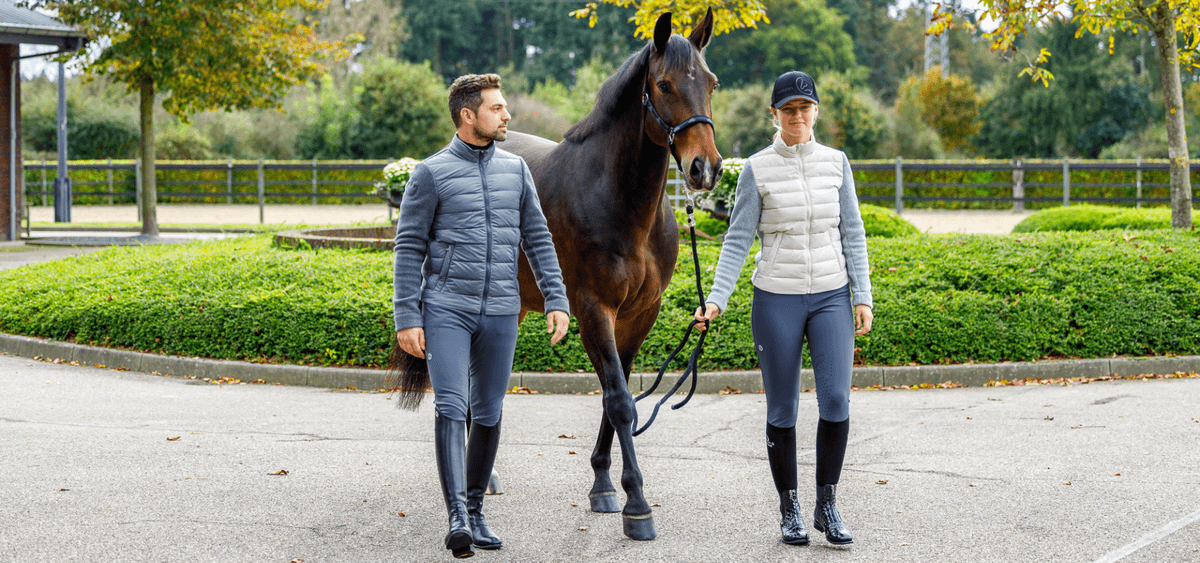 Prepare for Black Friday at Emmers Equestrian!