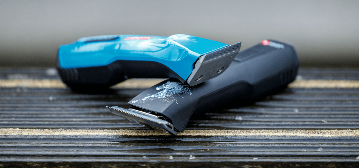 5 tips for a comfortable clipping session