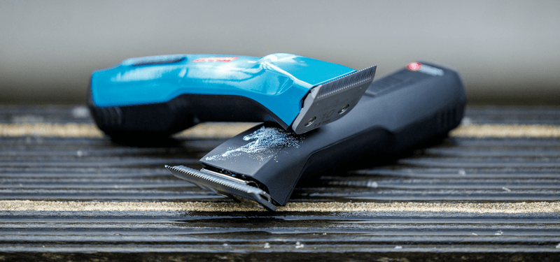 5 tips for a comfortable clipping session