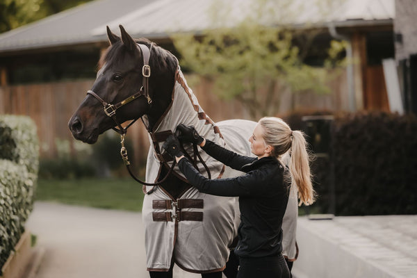 The unique features of Kentucky summer rugs