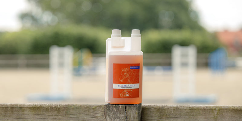 How can electrolytes protect your horse in hot weather?