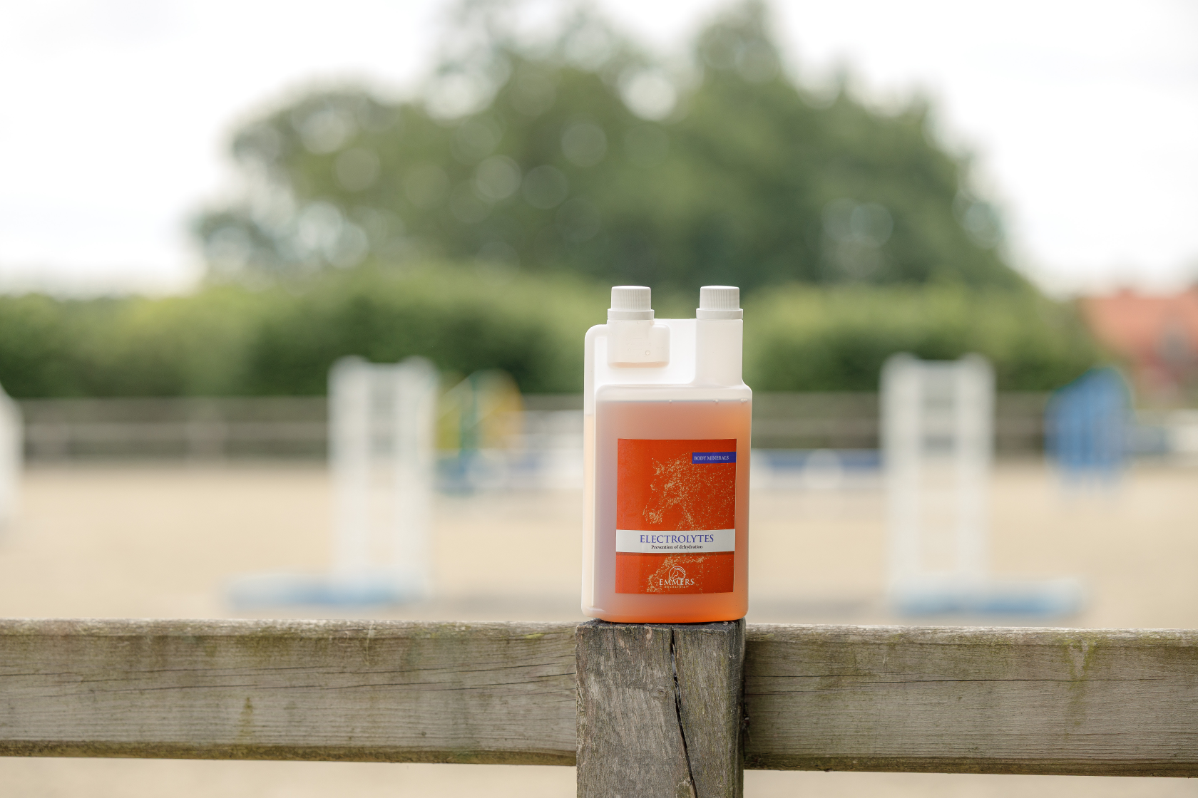 Horse Electrolytes Explained: All the Answers You Need