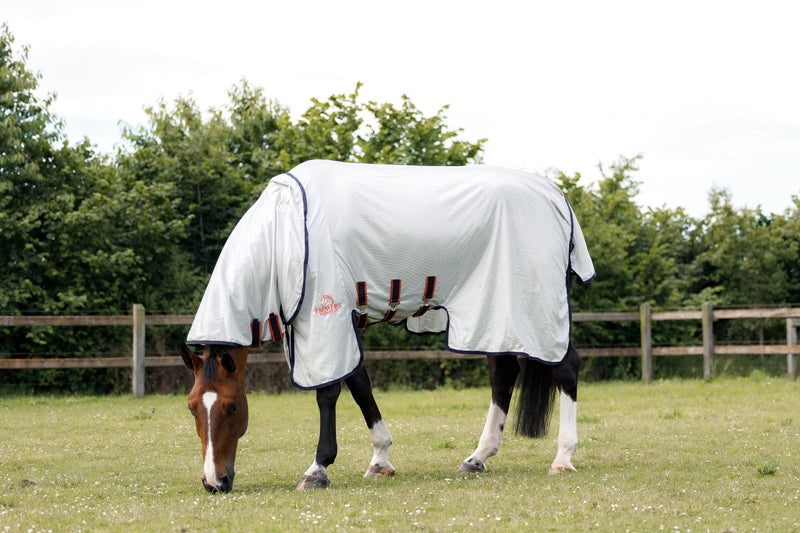 Protect your horse from annoying insects
