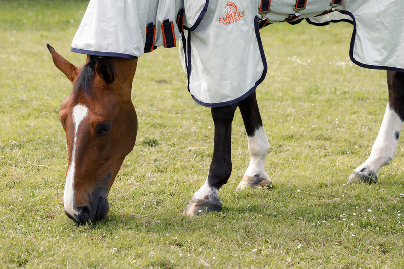 Why Can a Healthy Green Pasture Still Be a Risk for Your Horse?