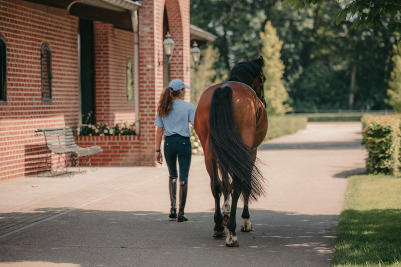 Travelling to an international horse show? How to organise your competition tack