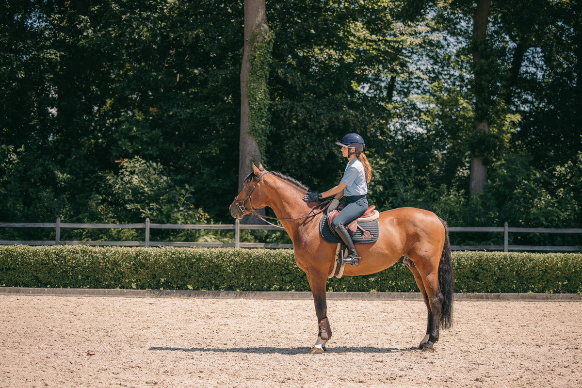 How Does Saddle Fit Affect Horse And Rider Performance?