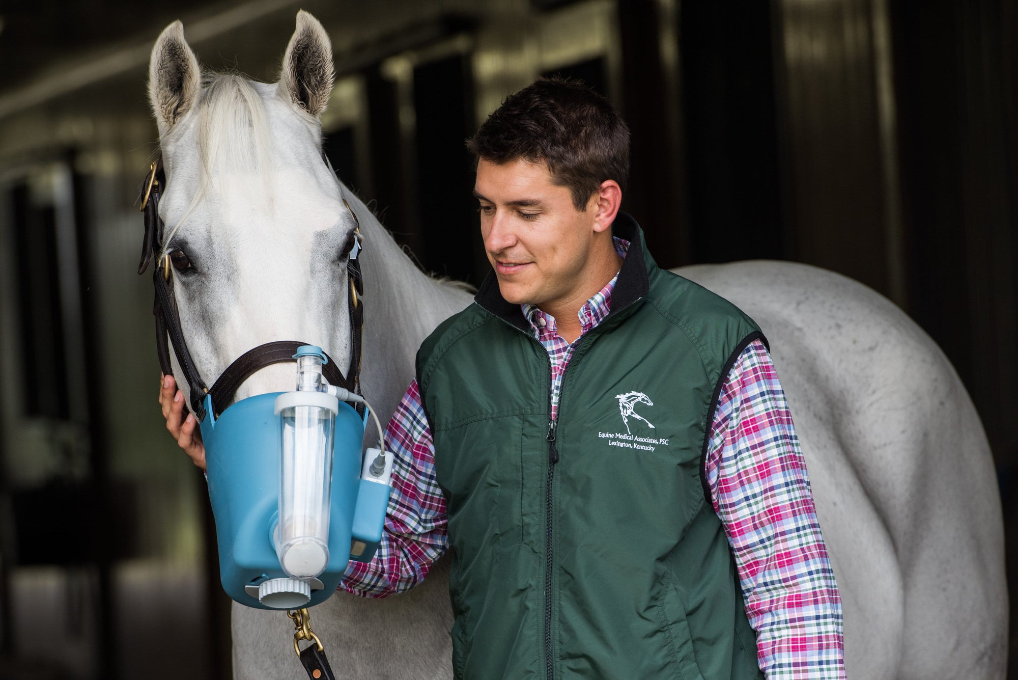 What Is a Flexineb and Why Are More Horse Owners Using It?