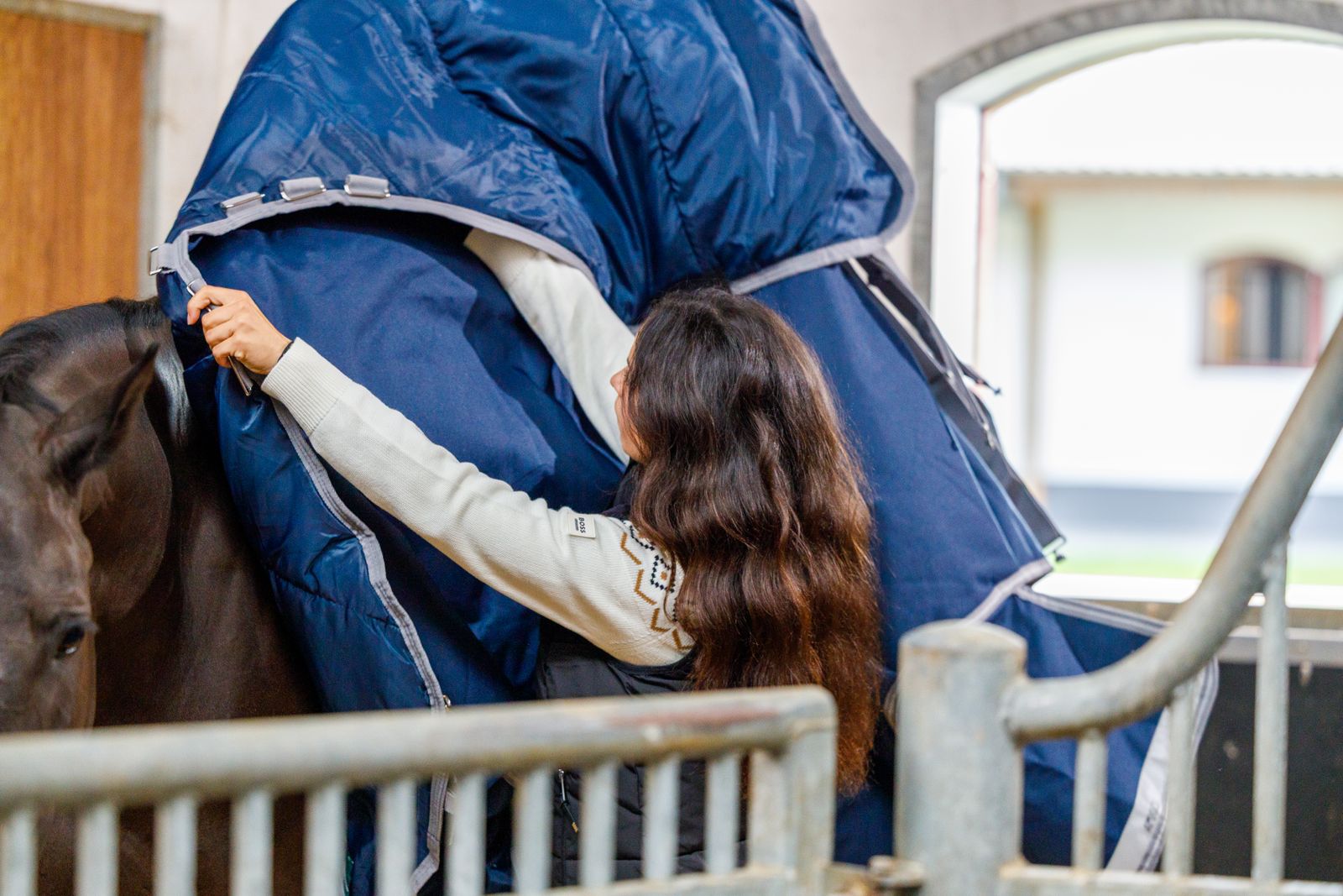 The Ultimate Autumn & Winter Horse Blanket Guide