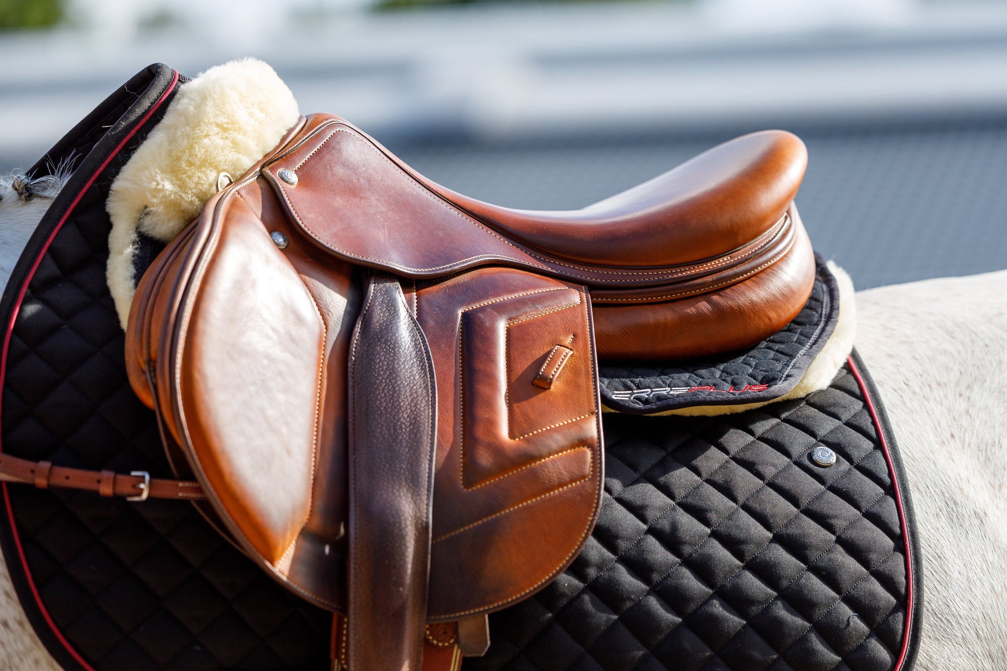 Do You Really Need a Half Pad? Everything Riders Should Know About Saddle Fit and Correction Pads