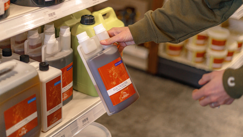 How can electrolytes protect your horse in hot weather?