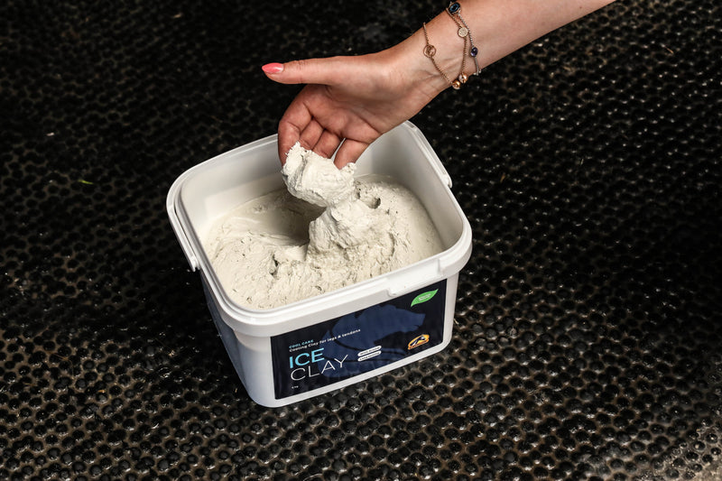 The Complete Guide to Cooling Products for Horses
