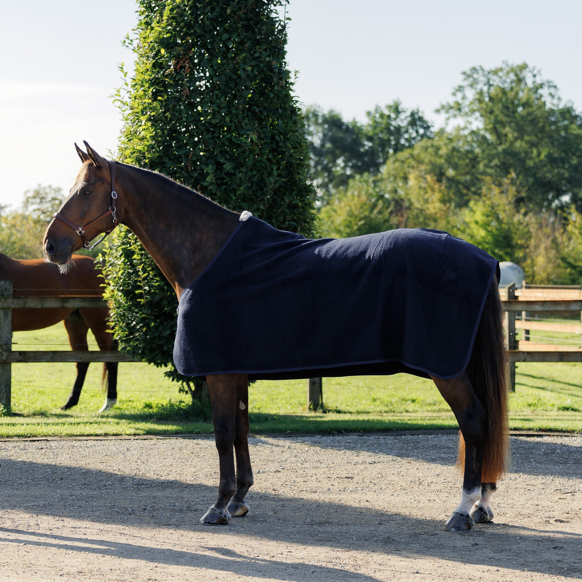 When Should You Start Rugging Your Horse In Autumn?