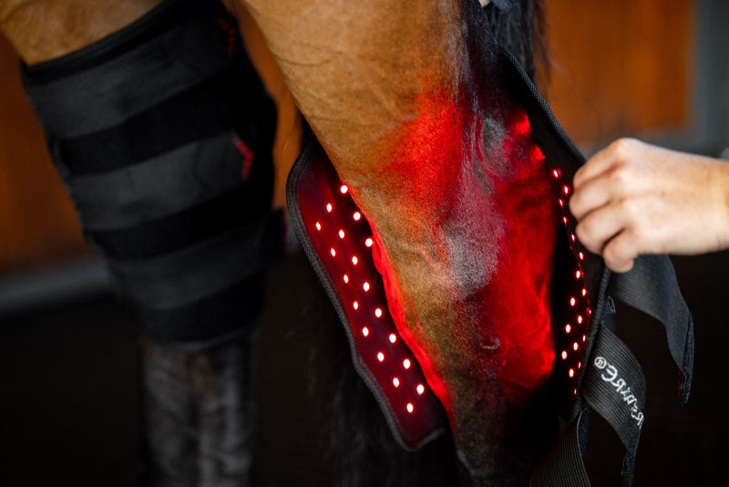 Dealing with a Stiff Horse? Practical Ways to Restore Comfort & Movement