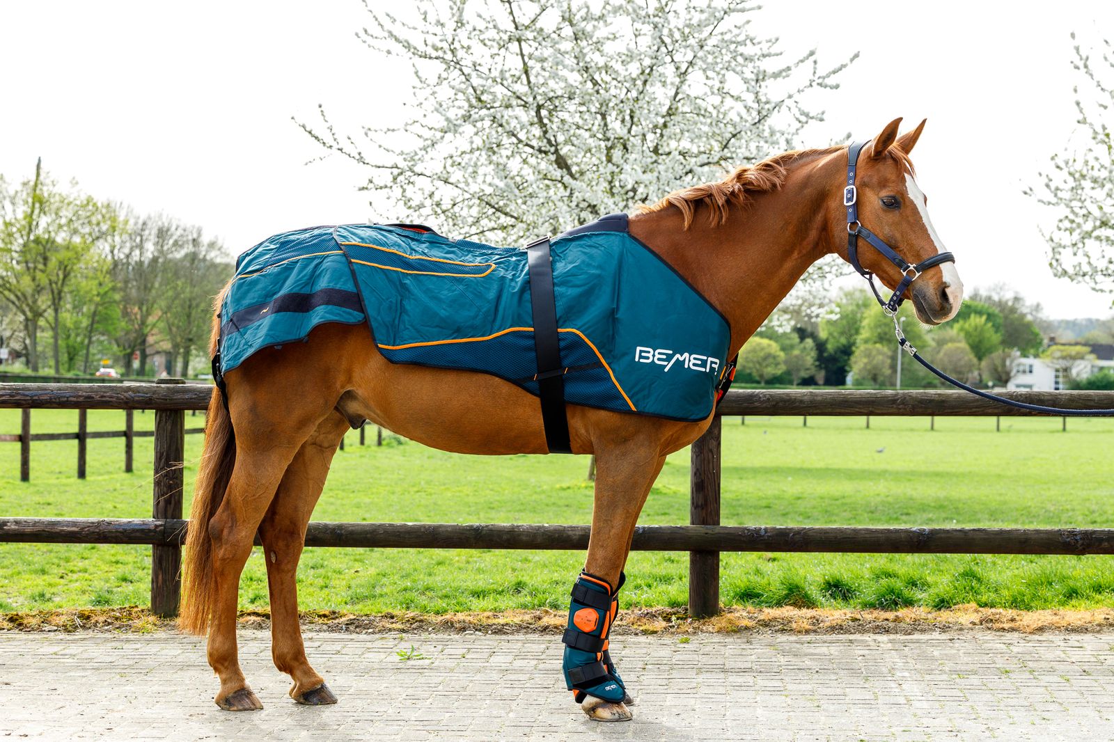 Innovative Bemer blankets at Emmers Equestrian: comfort and therapy for your horse