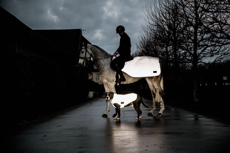 Shorter days, safer rides: How to stay visible when riding in low light
