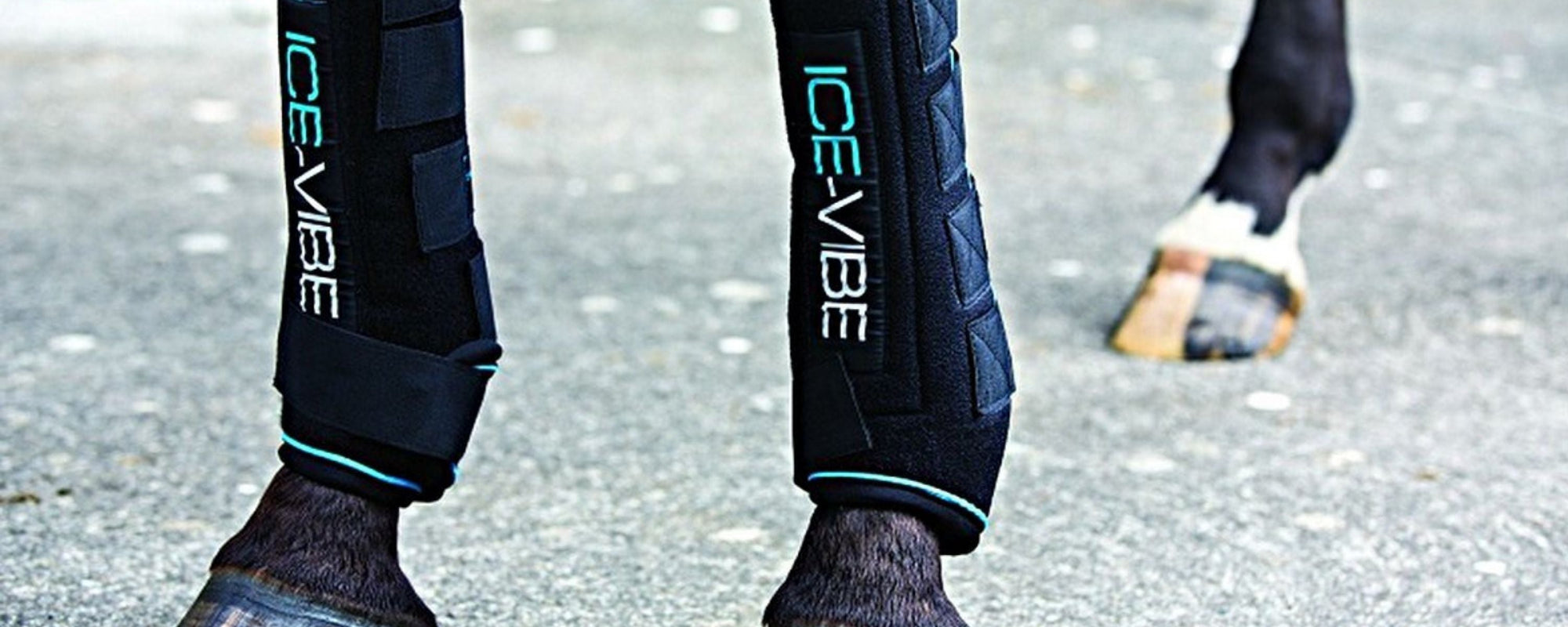 Ice-Vibe Boots from Horseware for optimal tendon and joint recovery
