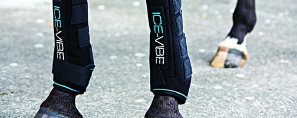 Ice-Vibe Boots from Horseware for optimal tendon and joint recovery