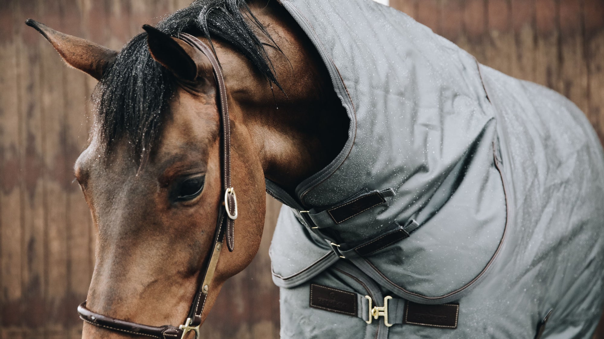 Stay dry on rainy days