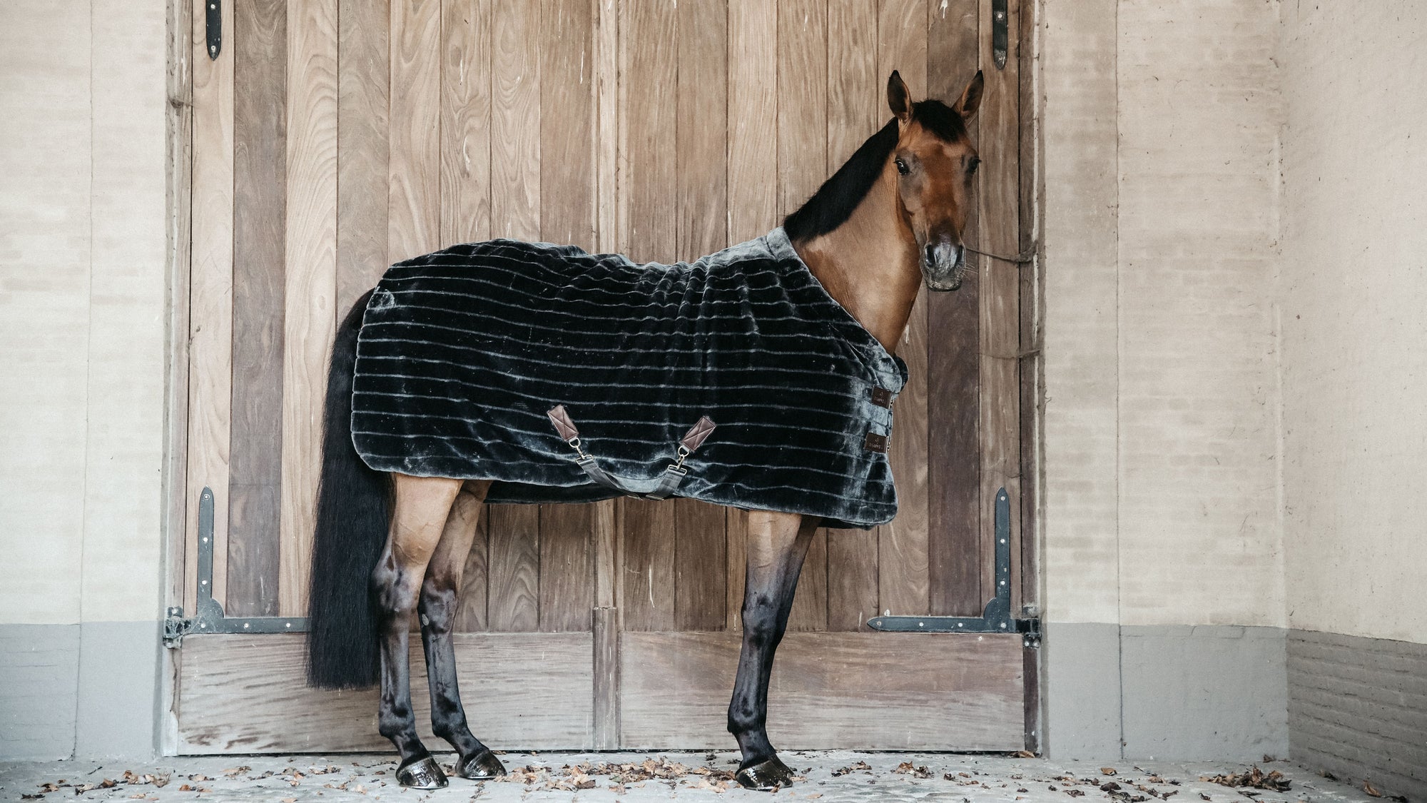 Help, which blanket should my horse wear?