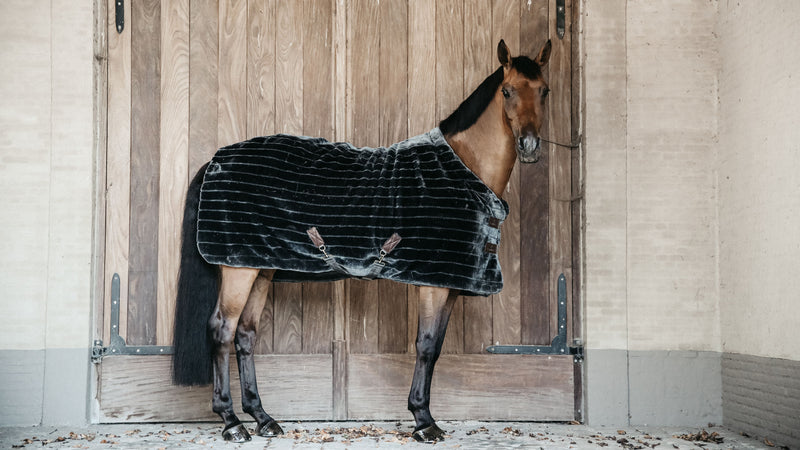 Help, which blanket should my horse wear?