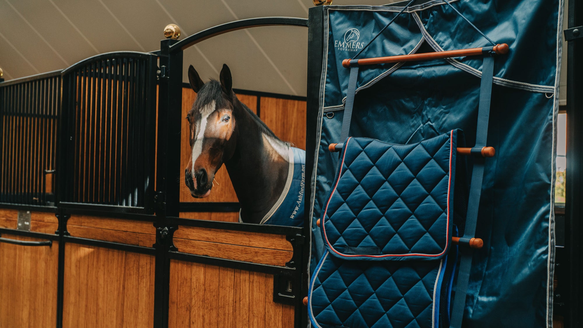Is Your Horse Bored in the Stable?