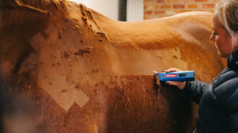 Are you ready for clipping season?