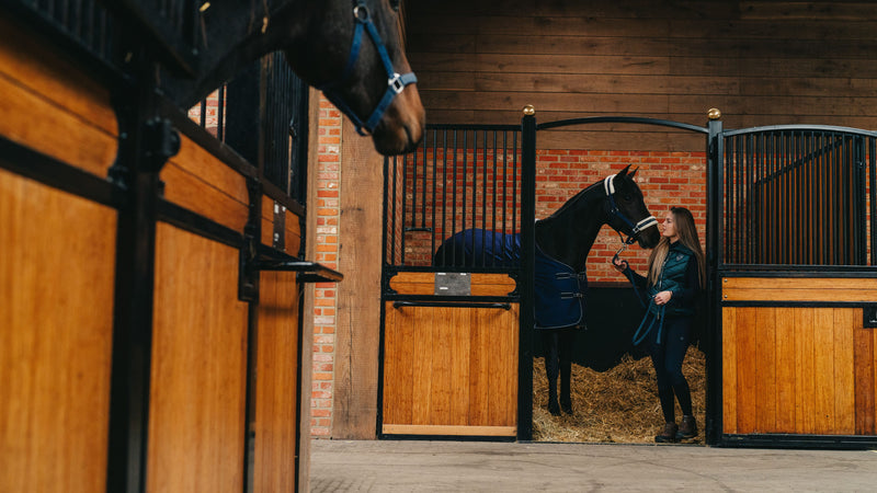 How to calm your horse during fireworks