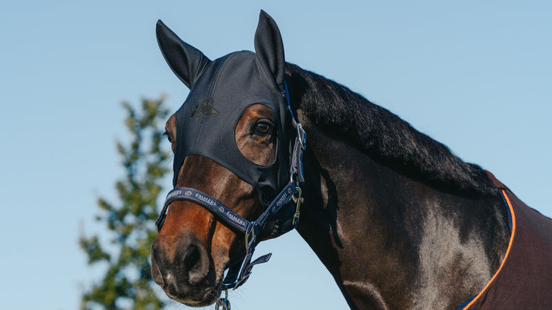 Discover the Fenwick Liquid Titanium Masks
