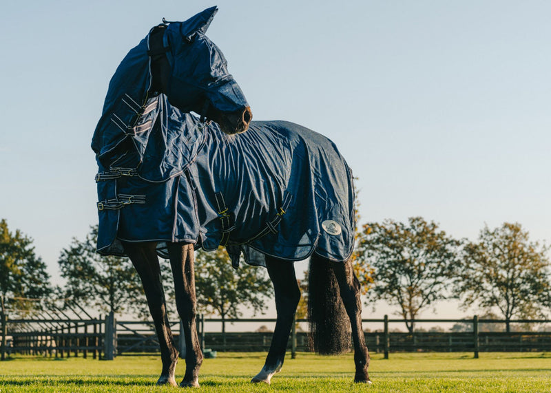 Protect your horse from annoying insects