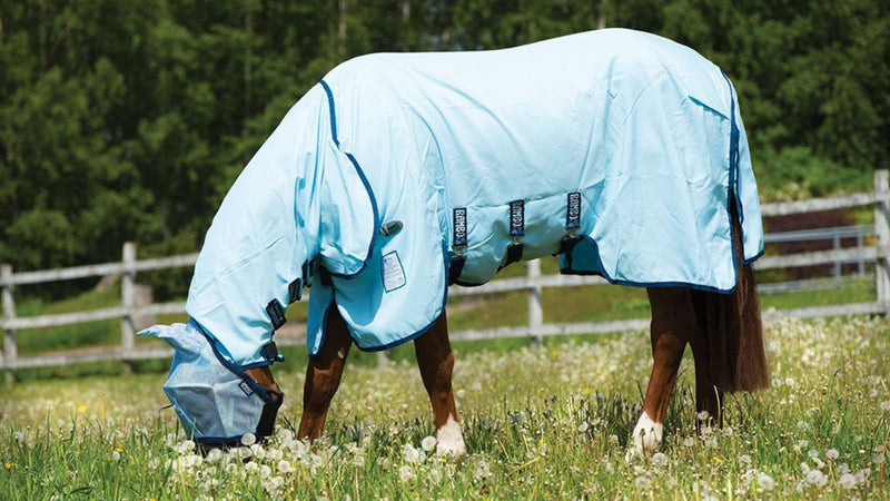 Protect your horse against summer eczema