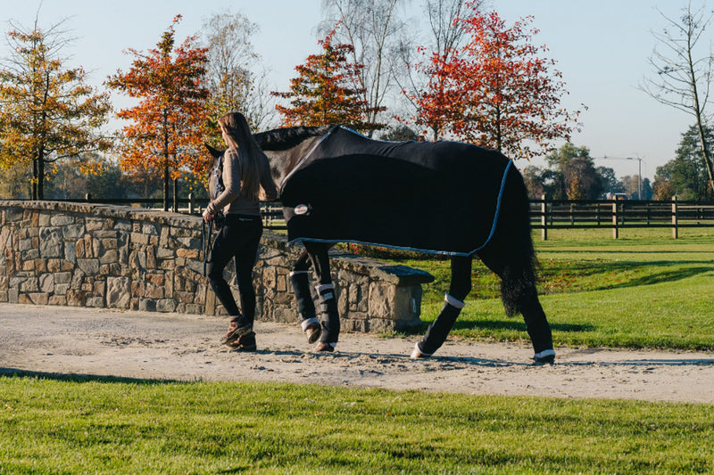 6 tips for transporting your horse safely