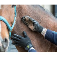 LeMieux Hands On Handschoen - Maat M
