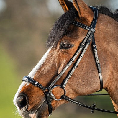 HFI German Bridle