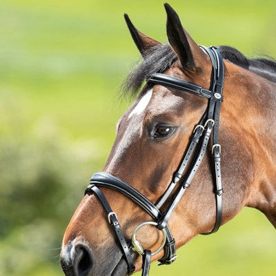 HFI Technical Bridle