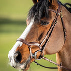 HFI Bridle Techno