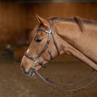 HFI Hoofdstel Hackamore