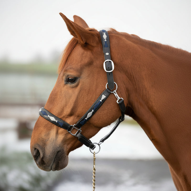 HFI Halter Polo�