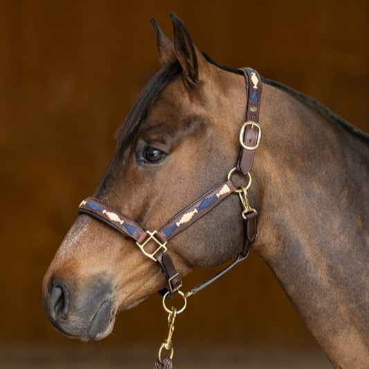 HFI Halter Polo�