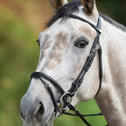 HFI Regular Bridle