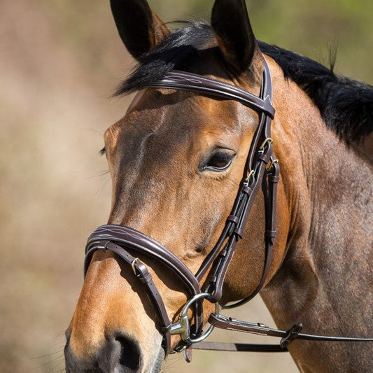 HFI Elegant Bridle