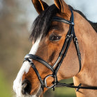 HFI Elegant Bridle
