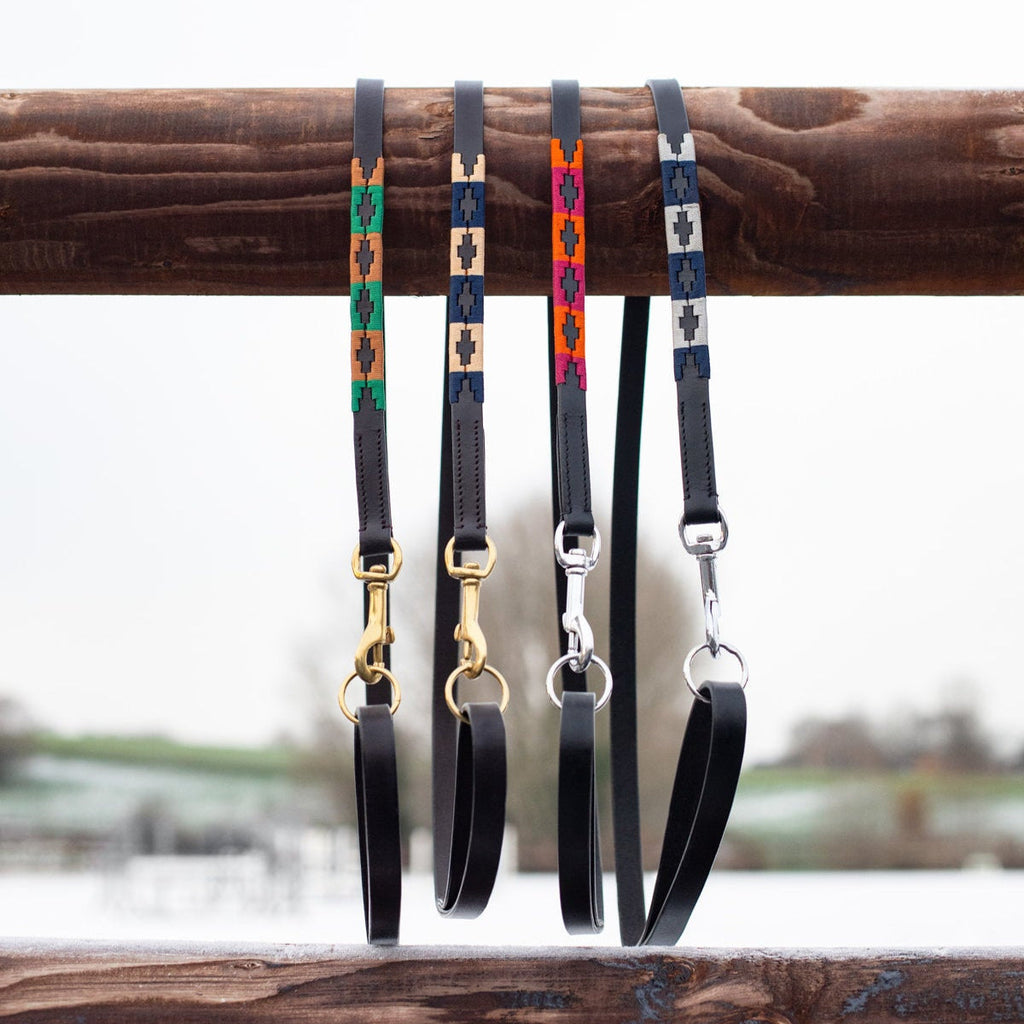 Laisse pour chien HFI Polo