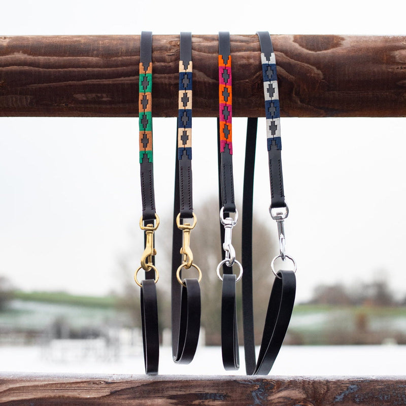 Laisse pour chien HFI Polo