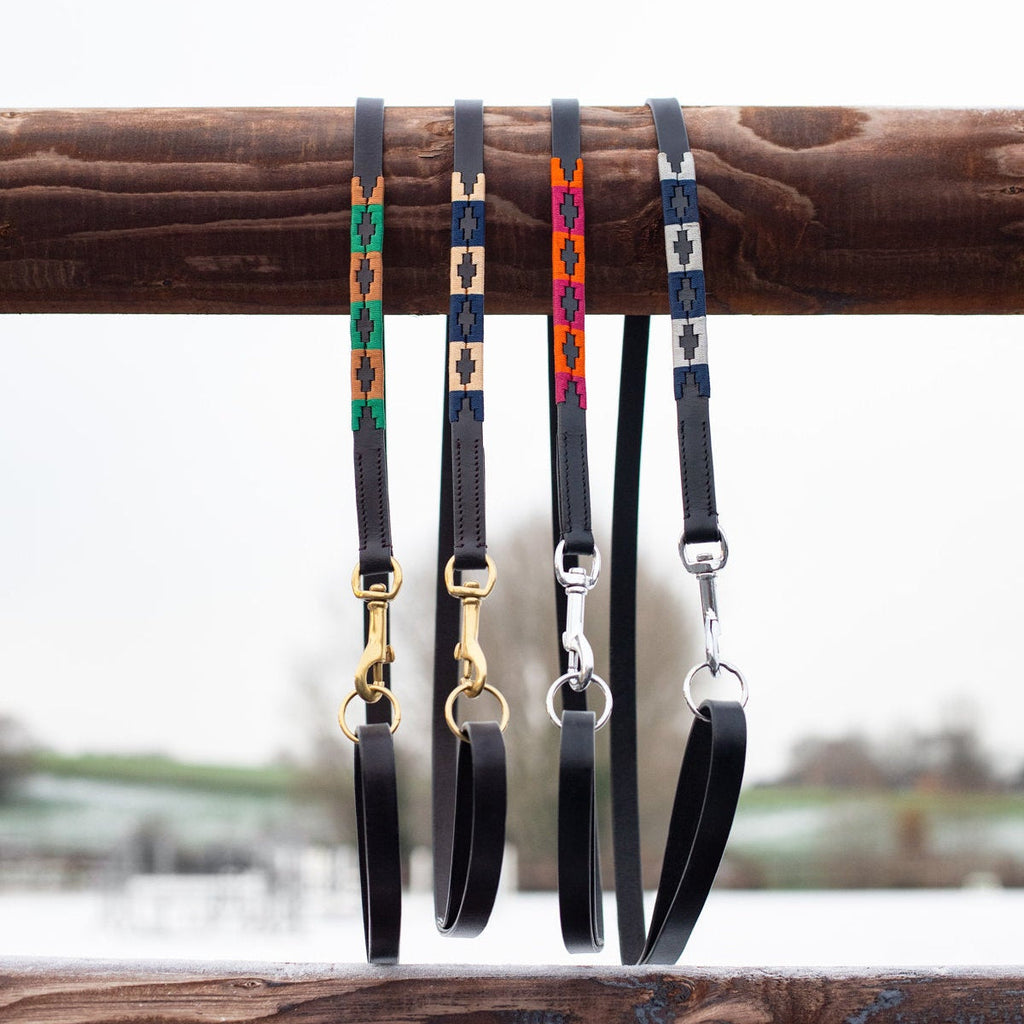 HFI Hundeleine Polo