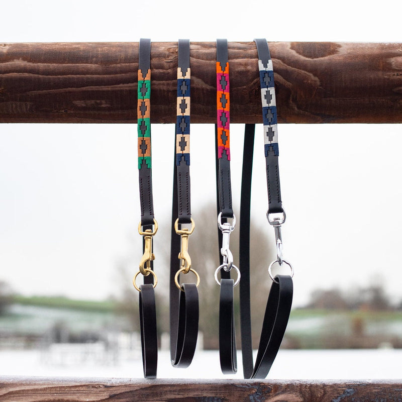 Laisse pour chien HFI Polo